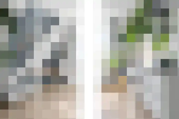 Berkelselaan 116 B 01 Rotterdam thumbnail 10