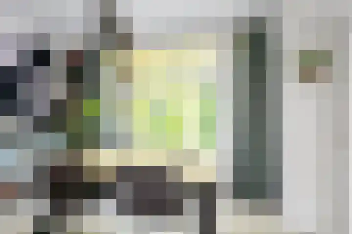 Berkelselaan 116 B 01 Rotterdam thumbnail 13