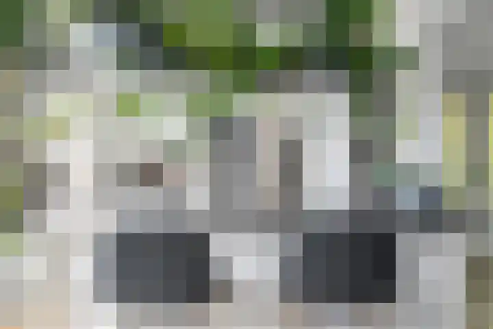 Berkelselaan 116 B 01 Rotterdam thumbnail 14