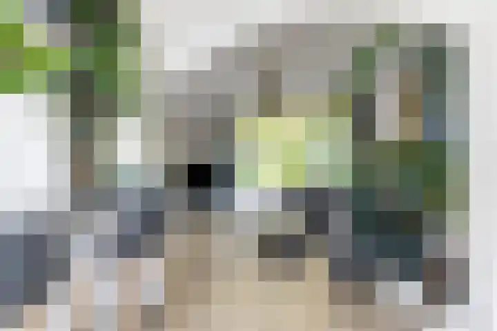 Berkelselaan 116 B 01 Rotterdam thumbnail 15