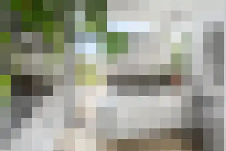 Berkelselaan 116 B 01 Rotterdam thumbnail 16