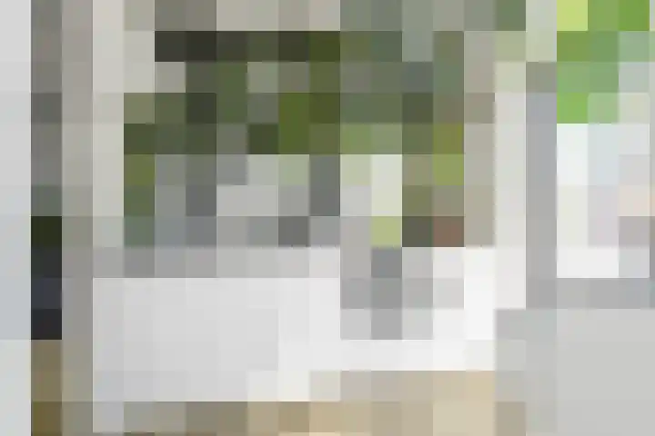 Berkelselaan 116 B 01 Rotterdam thumbnail 17
