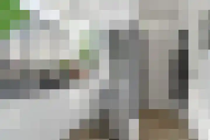 Berkelselaan 116 B 01 Rotterdam thumbnail 18