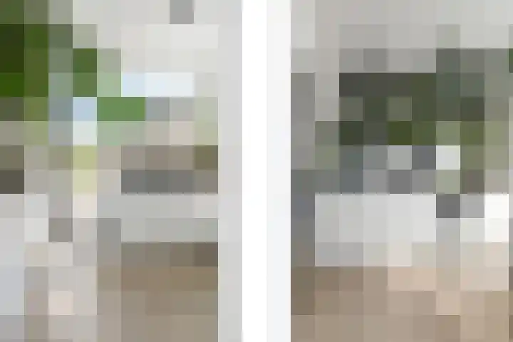 Berkelselaan 116 B 01 Rotterdam thumbnail 19