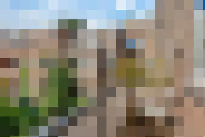 Berkelselaan 116 B 01 Rotterdam thumbnail 22