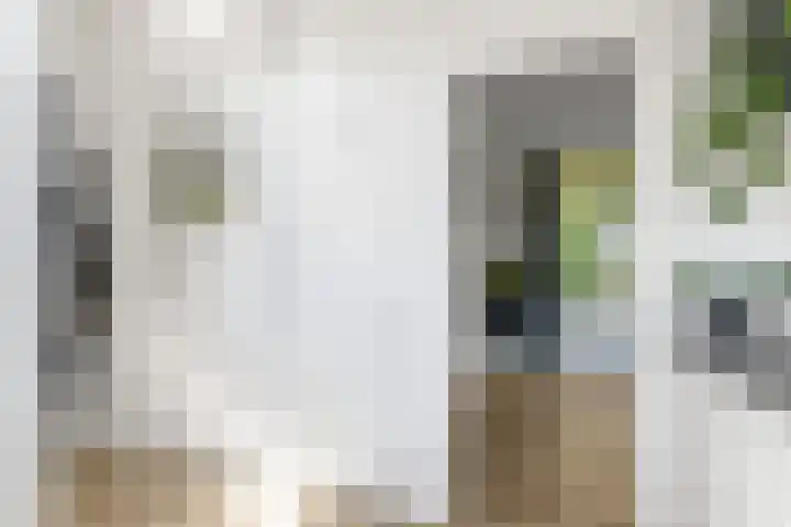 Berkelselaan 116 B 01 Rotterdam thumbnail 23