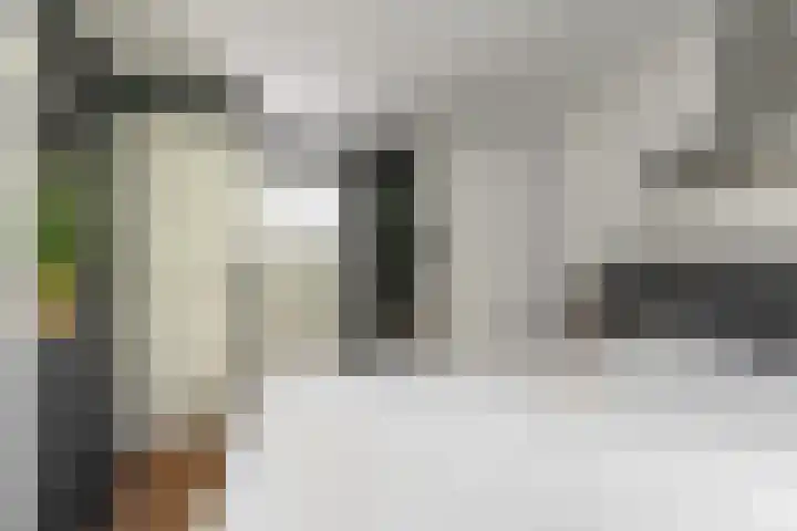 Berkelselaan 116 B 01 Rotterdam thumbnail 30