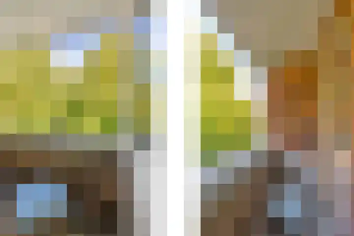 Berkelselaan 116 B 01 Rotterdam thumbnail 31