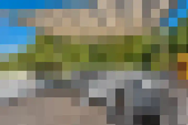 Berkelselaan 116 B 01 Rotterdam thumbnail 35