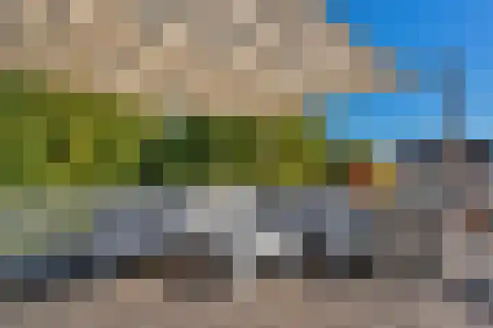Berkelselaan 116 B 01 Rotterdam thumbnail 36