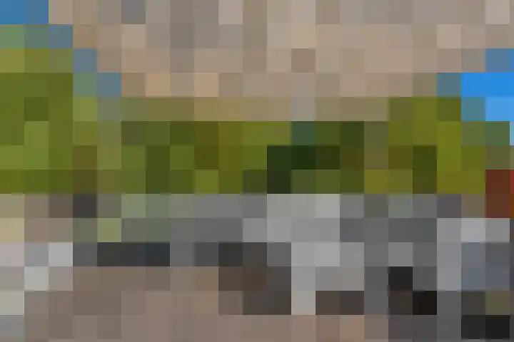 Berkelselaan 116 B 01 Rotterdam thumbnail 38
