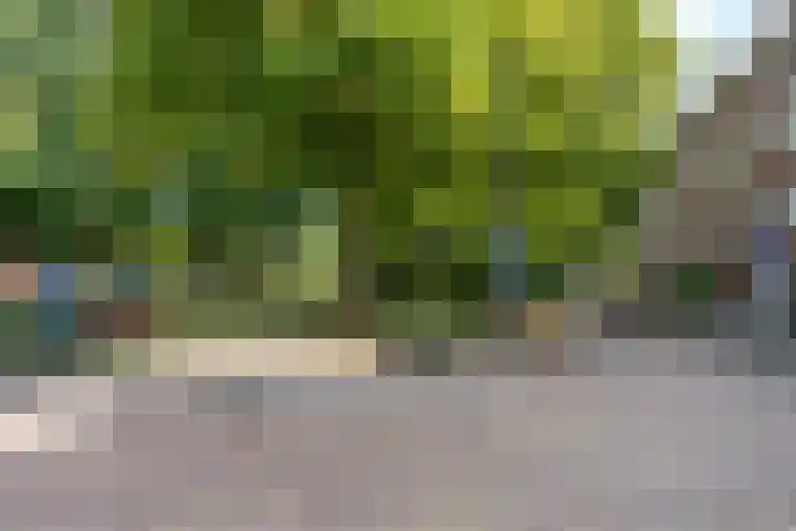 Berkelselaan 116 B 01 Rotterdam thumbnail 39