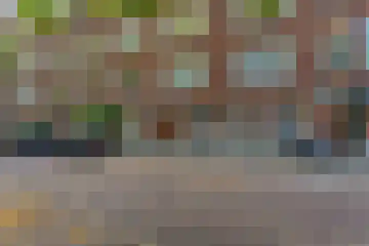 Berkelselaan 116 B 01 Rotterdam thumbnail 4