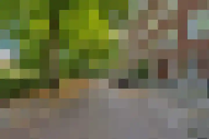 Berkelselaan 116 B 01 Rotterdam thumbnail 40