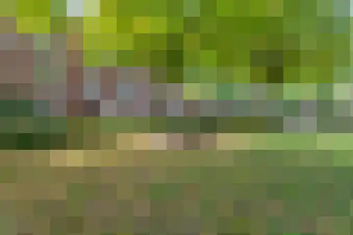 Berkelselaan 116 B 01 Rotterdam thumbnail 41