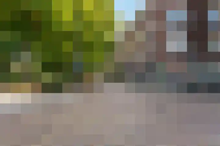 Berkelselaan 116 B 01 Rotterdam thumbnail 42