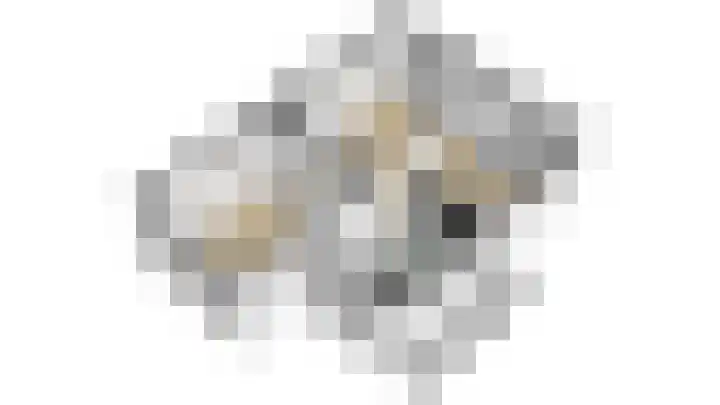 Berkelselaan 116 B 01 Rotterdam thumbnail 51