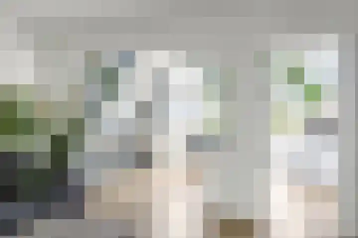 Berkelselaan 116 B 01 Rotterdam thumbnail 6