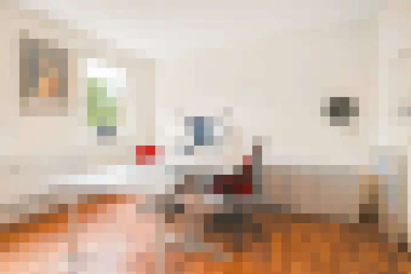 Berkelselaan 121 Rotterdam thumbnail 18