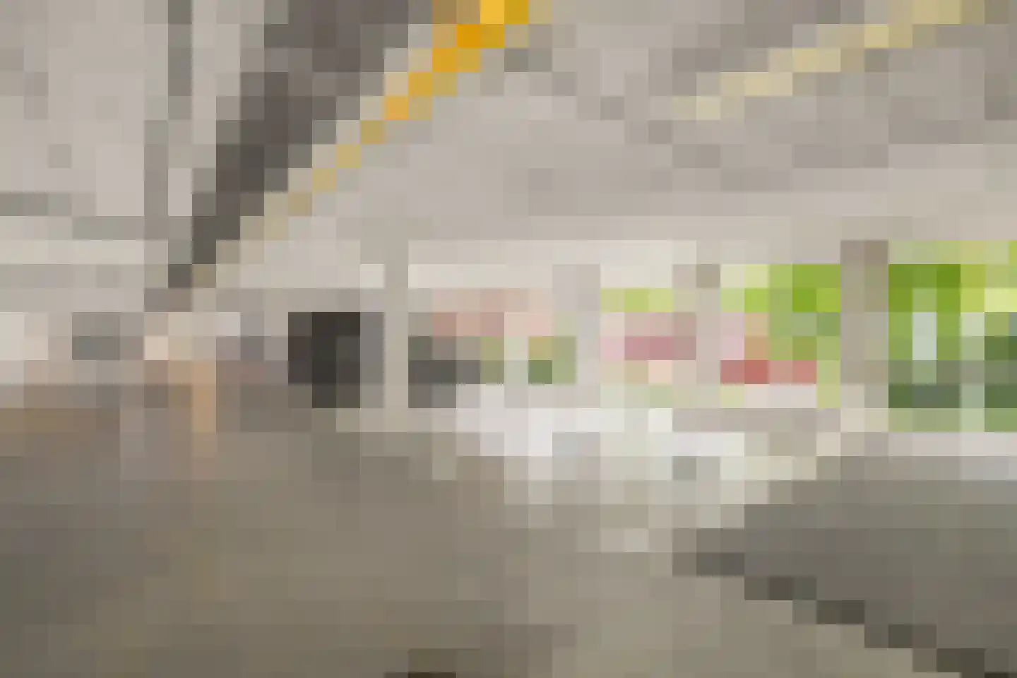 Berkelselaan 121 Rotterdam thumbnail 26