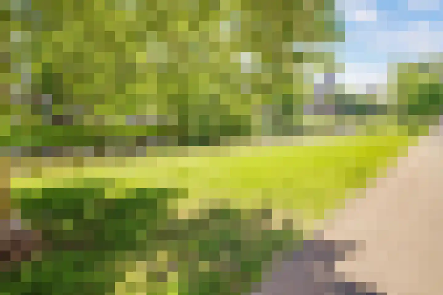 Berkelselaan 121 Rotterdam thumbnail 28