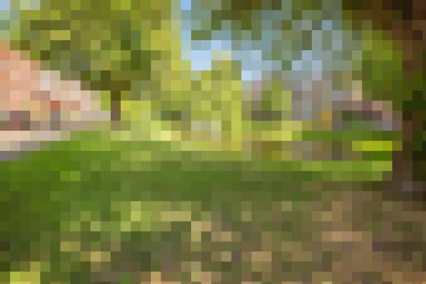 Berkelselaan 121 Rotterdam thumbnail 29