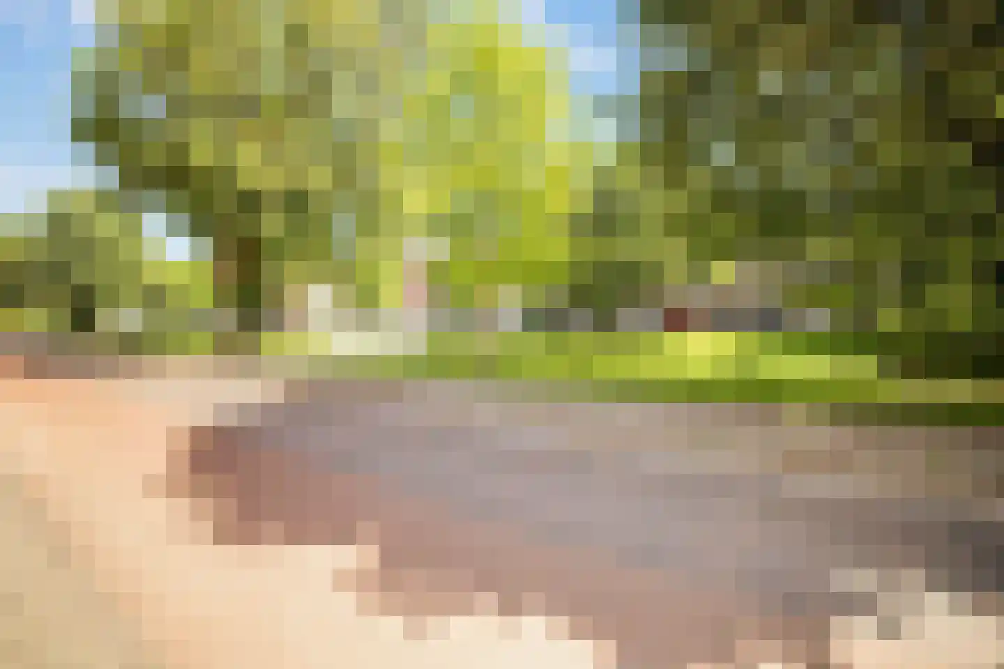 Berkelselaan 121 Rotterdam thumbnail 30