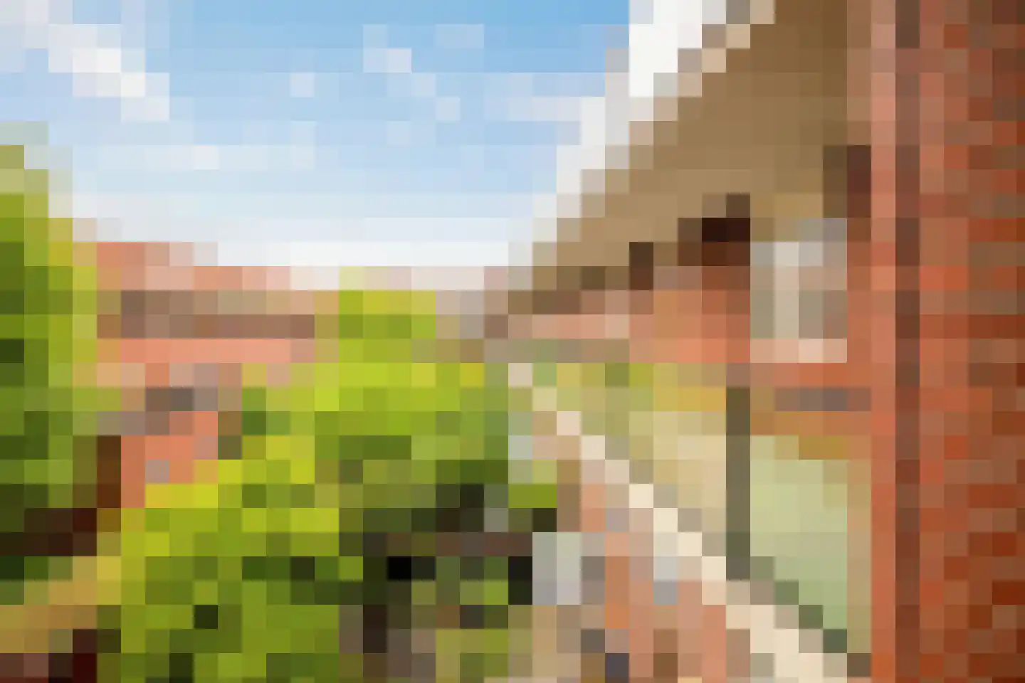 Berkelselaan 121 Rotterdam thumbnail 6