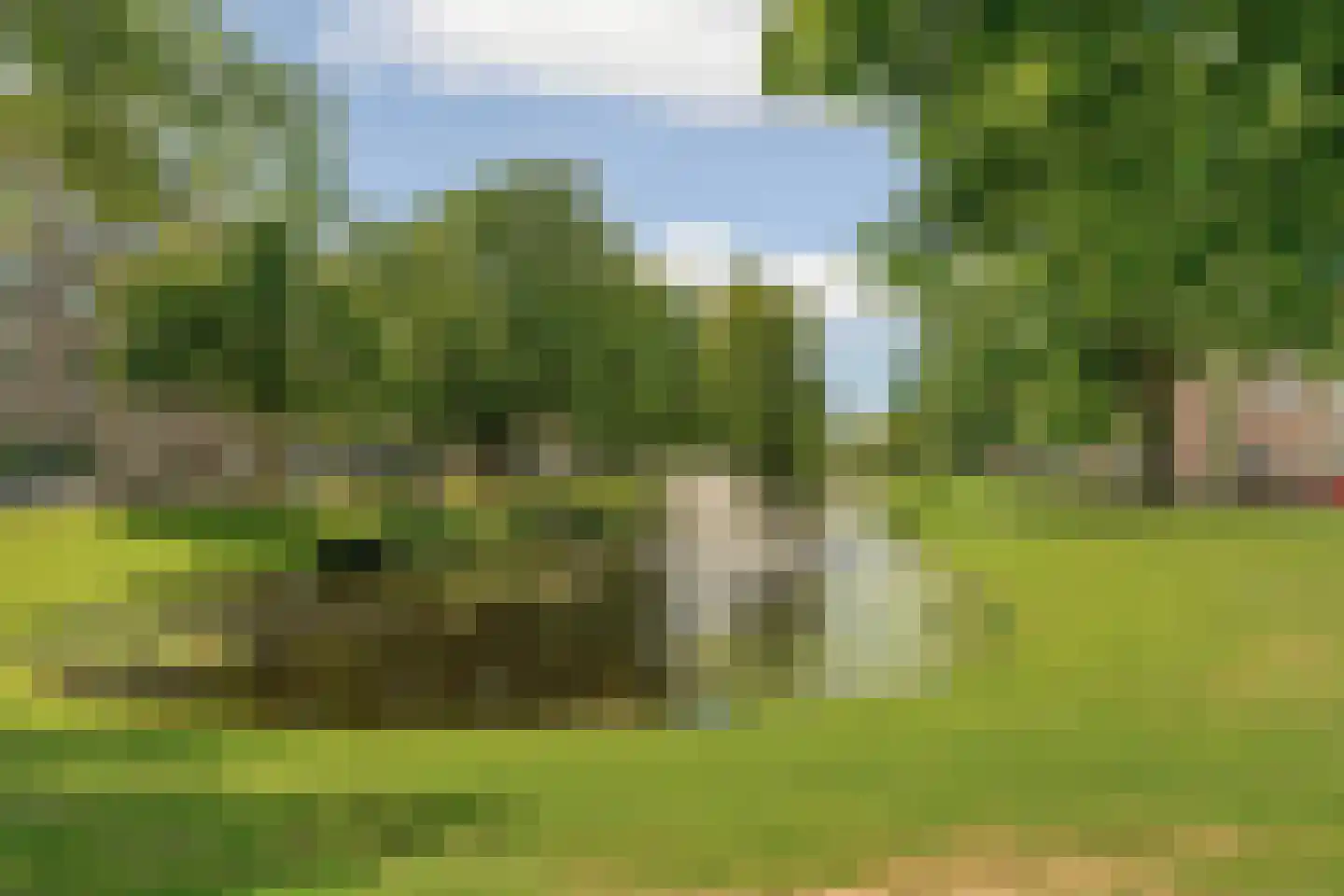 Berkelselaan 177 Rotterdam thumbnail 41