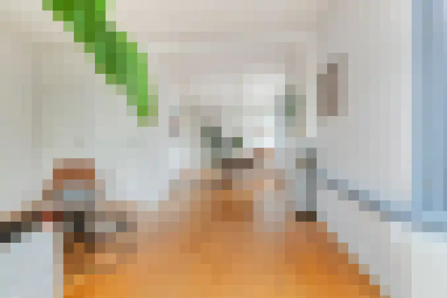 Berkelselaan 2 A Rotterdam thumbnail 12