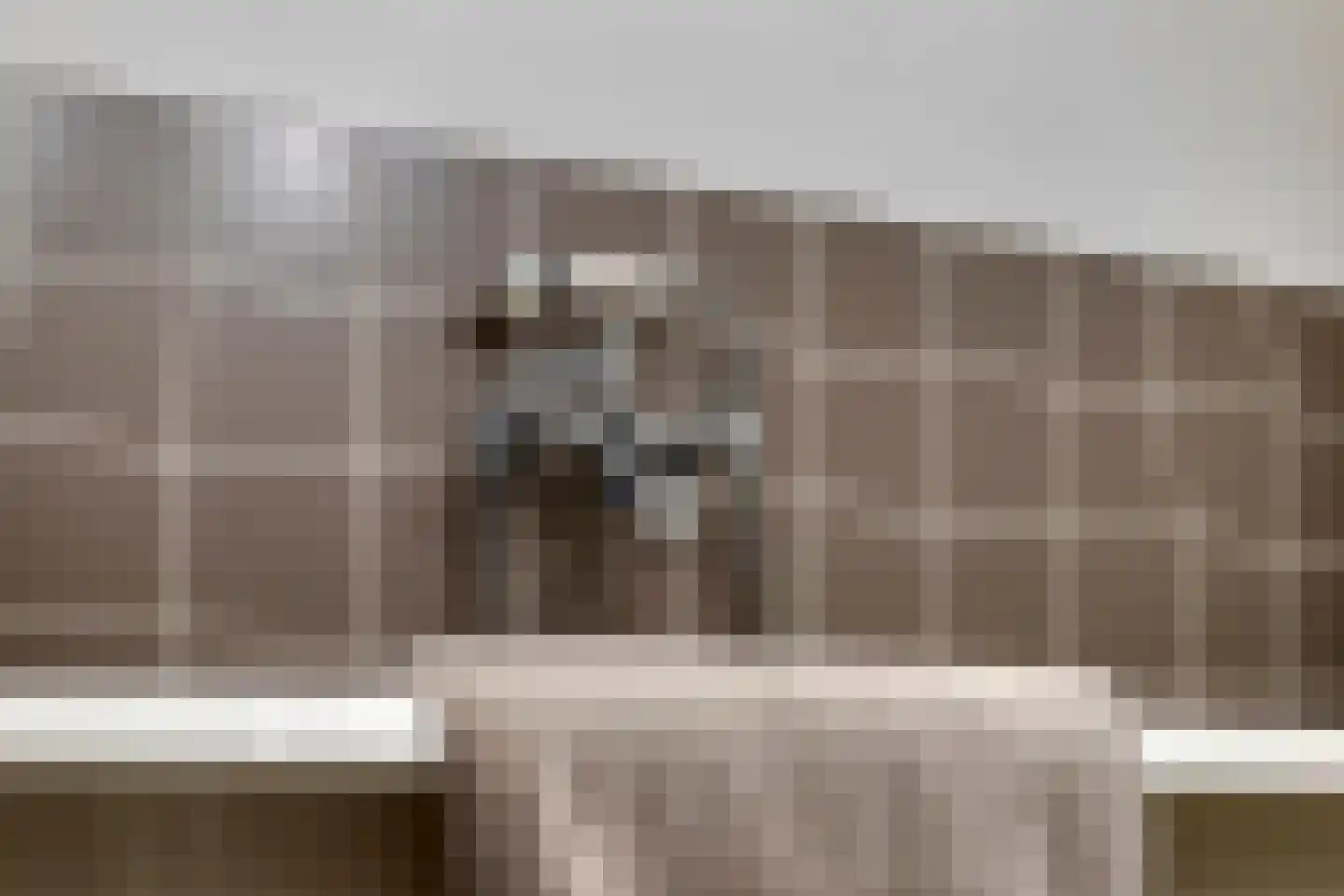 Berkelselaan 2 A Rotterdam thumbnail 18