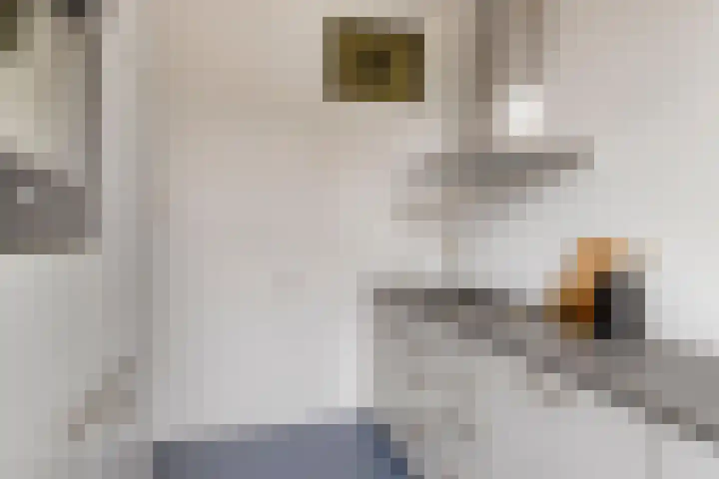 Berkelselaan 2 A Rotterdam thumbnail 22