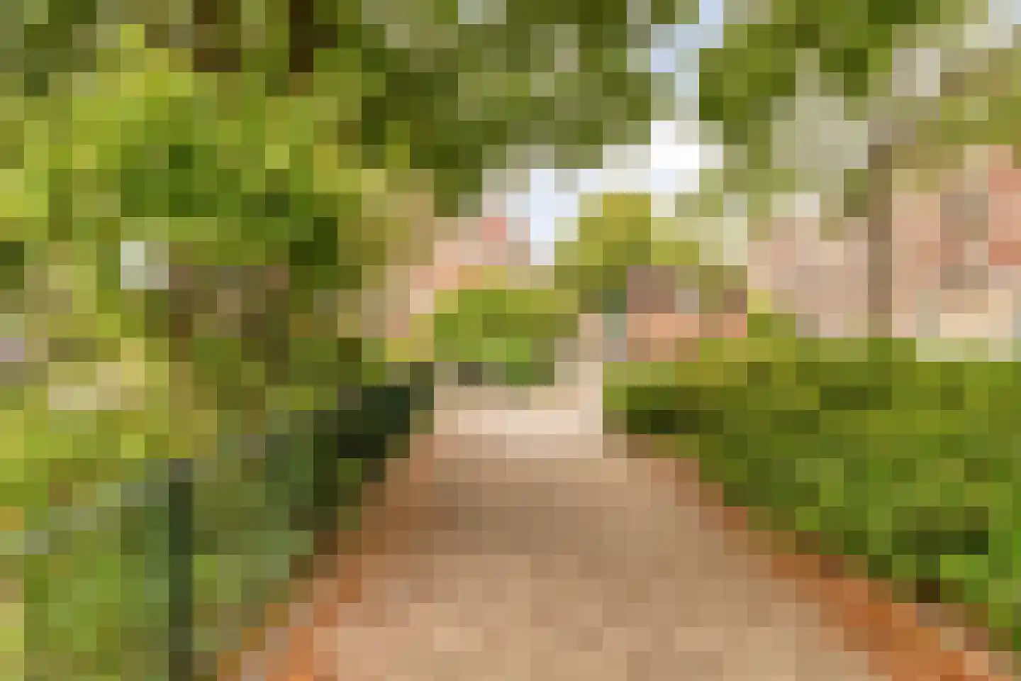 Berkelselaan 2 A Rotterdam thumbnail 25