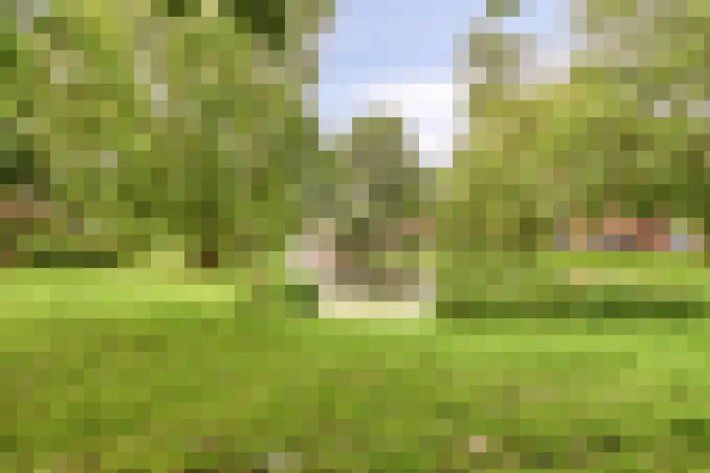 Berkelselaan 2 A Rotterdam thumbnail 26
