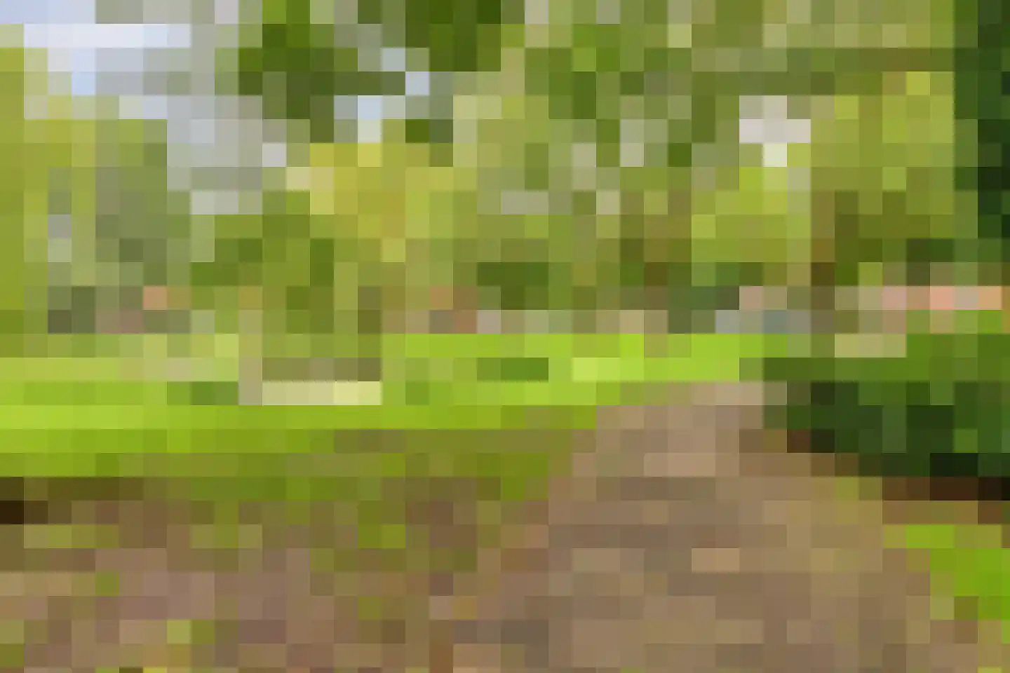Berkelselaan 2 A Rotterdam thumbnail 27
