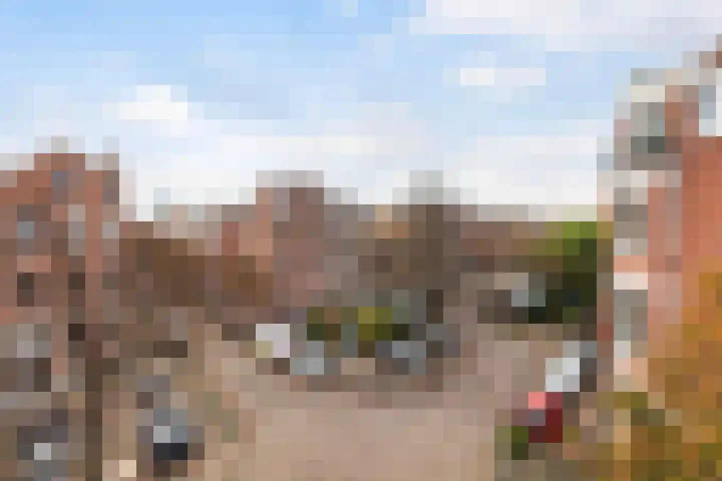 Berkelselaan 41 A 01 Rotterdam thumbnail 28