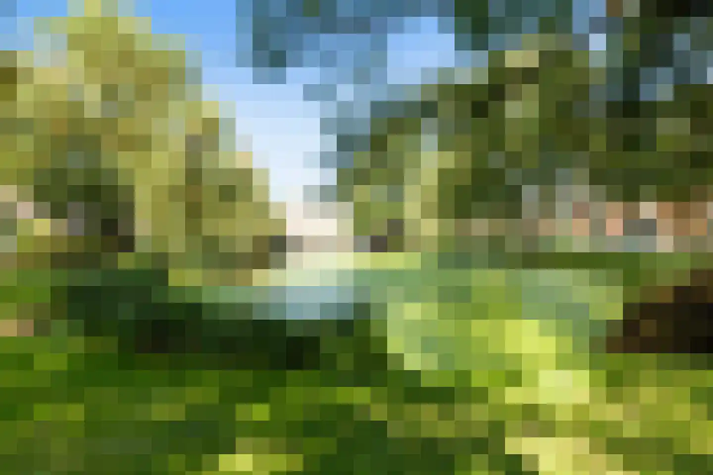Berkelselaan 41 A 01 Rotterdam thumbnail 30