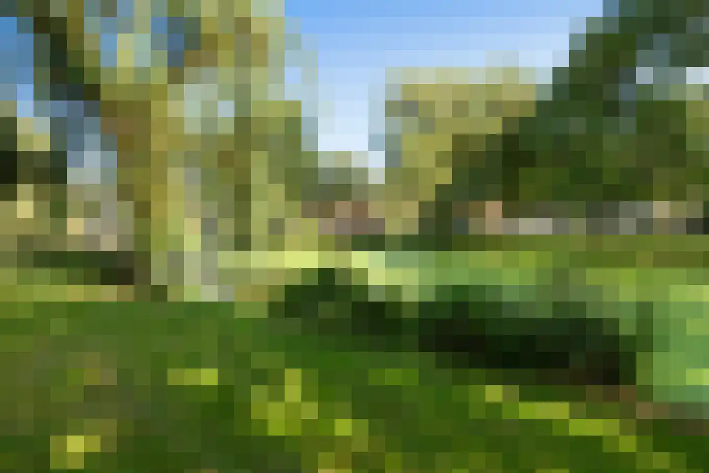 Berkelselaan 41 A 01 Rotterdam thumbnail 31