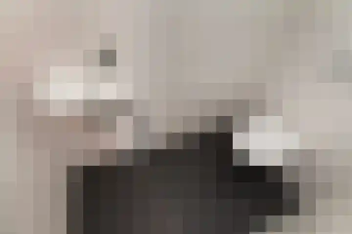 Berkelselaan 41 B Rotterdam thumbnail 11