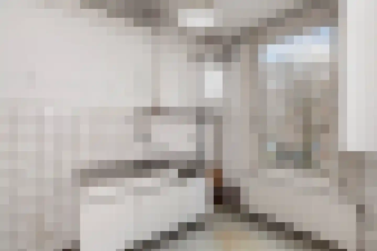 Berkelselaan 41 B Rotterdam thumbnail 18