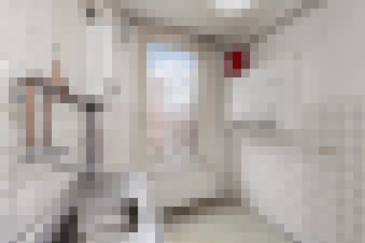 Berkelselaan 41 B Rotterdam thumbnail 19
