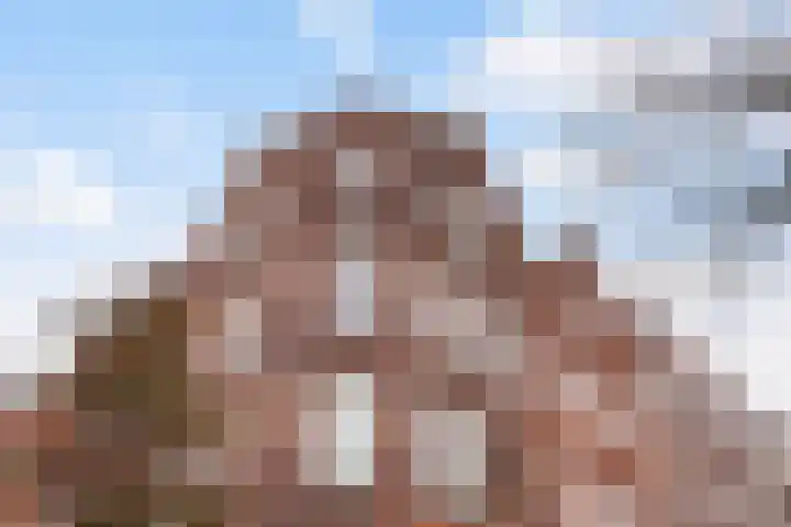 Berkelselaan 41 B Rotterdam thumbnail 27