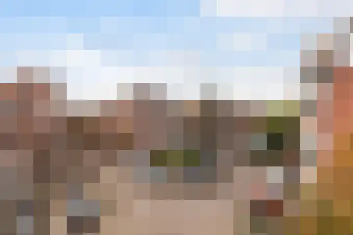 Berkelselaan 41 B Rotterdam thumbnail 28