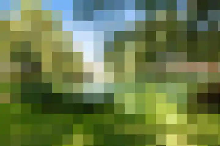 Berkelselaan 41 B Rotterdam thumbnail 30