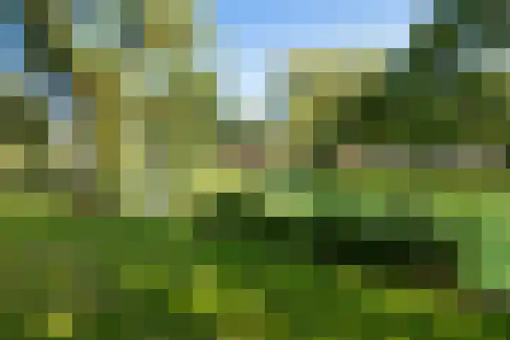 Berkelselaan 41 B Rotterdam thumbnail 31