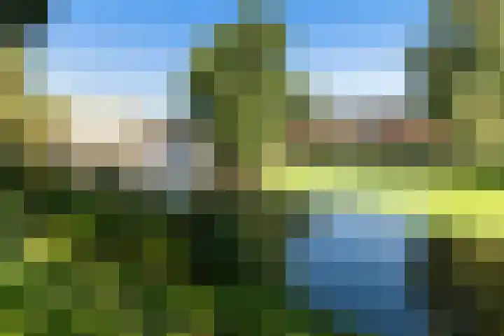 Berkelselaan 41 B Rotterdam thumbnail 32