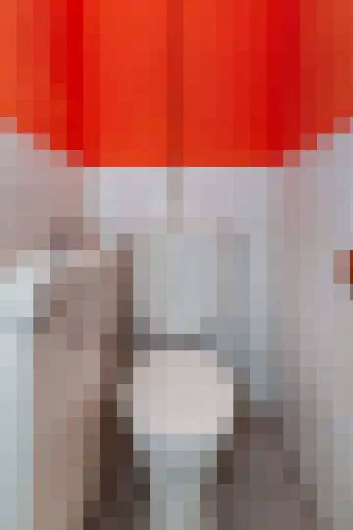Berkelselaan 41 B Rotterdam thumbnail 8