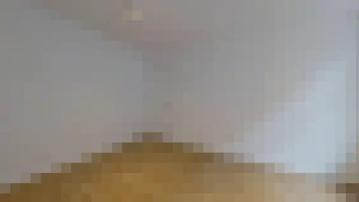 Berkelselaan 45 Rotterdam thumbnail 4