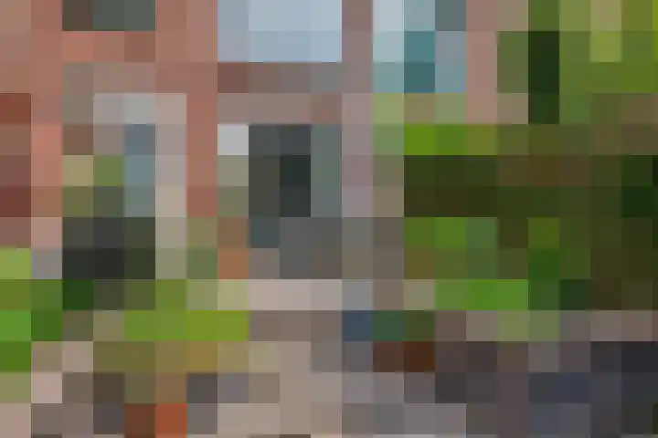 Berkelselaan 60 A Rotterdam thumbnail 11