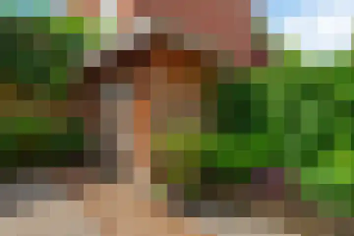Berkelselaan 60 A Rotterdam thumbnail 13